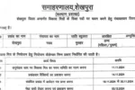 Bihar Sheikhpura District Vikas Mitra Recruitment 2024 Online